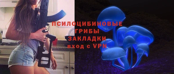 spice Рославль