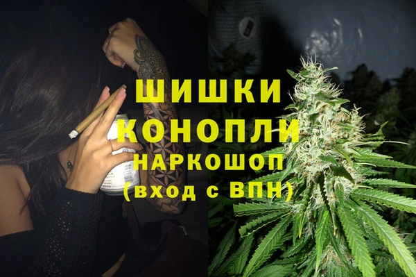 spice Рославль