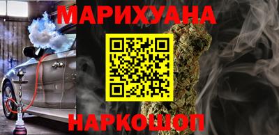 сатива Аргун