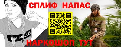 сатива Аргун