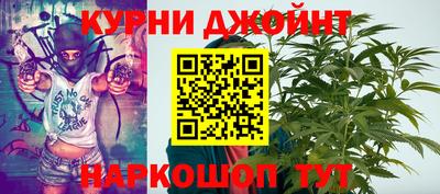 сатива Аргун