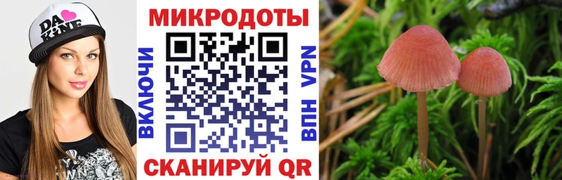 как найти   Балашиха  Псилоцибиновые грибы Magic Shrooms 