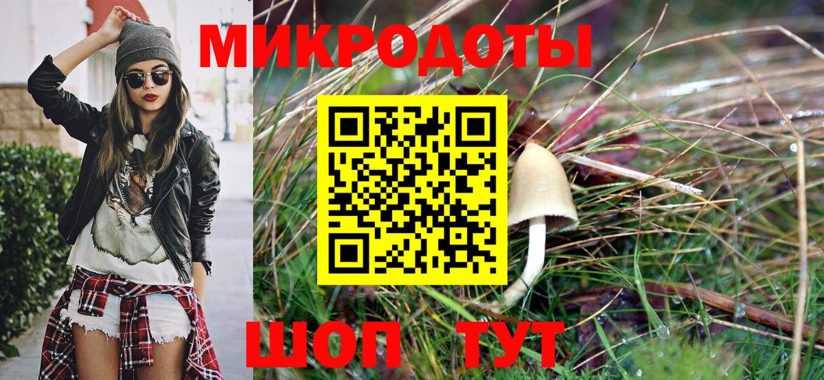 Псилоцибиновые грибы GOLDEN TEACHER  Псилоцибиновые грибы Cubensis  Балашиха  Вход с VPN 